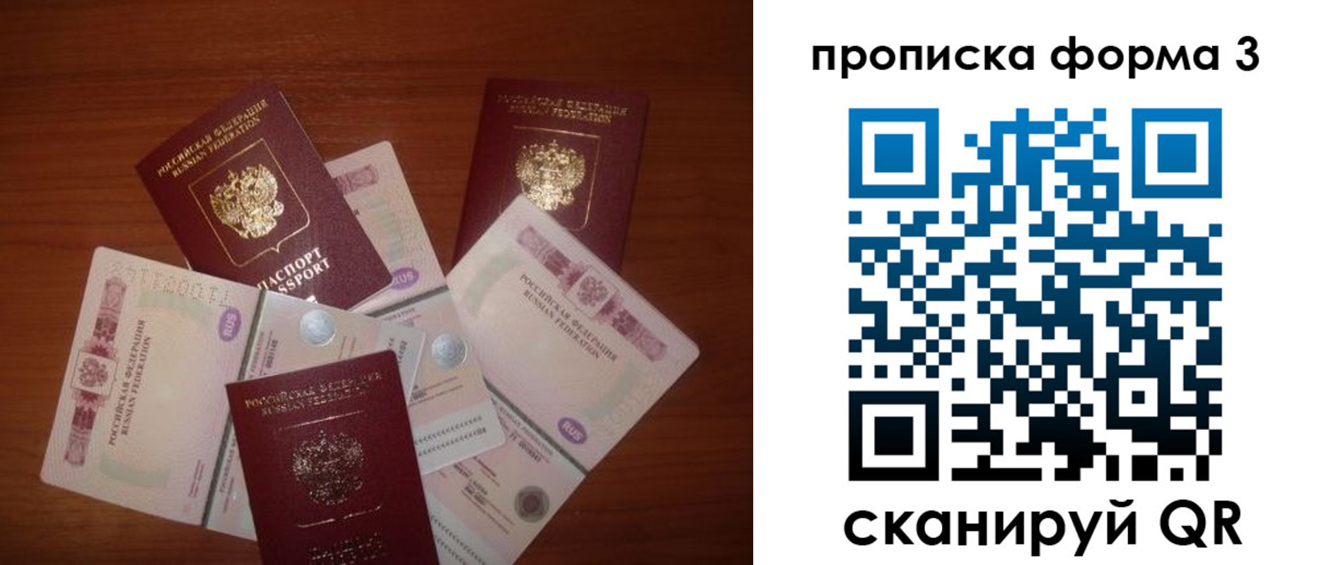 найти адрес прописки в Ершове